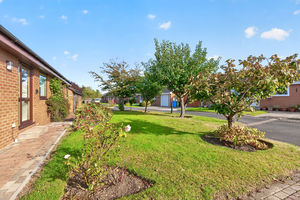 Front garden- click for photo gallery